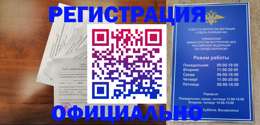 прописка поиск в Грязях